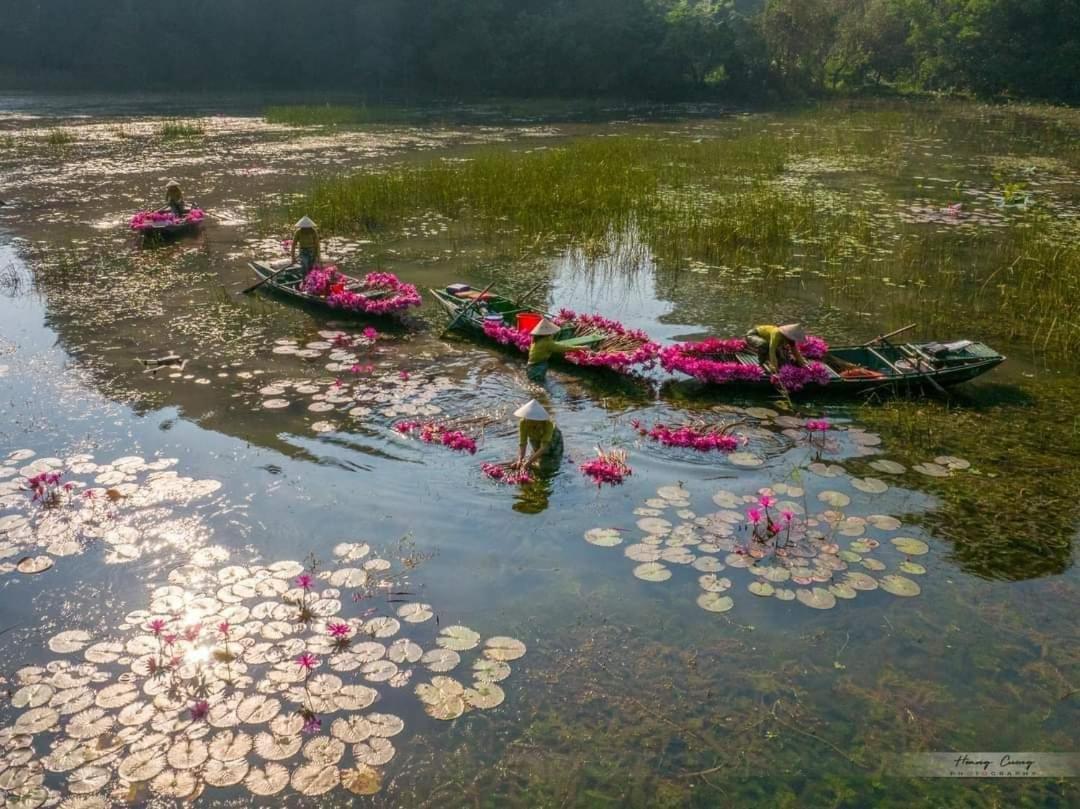 Tam Coc Paradise Homestay ニンビン エクステリア 写真