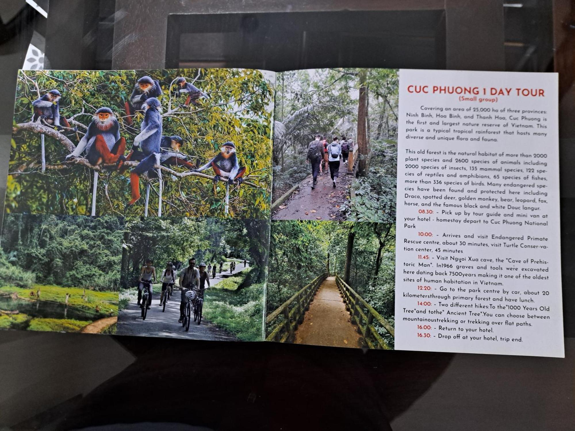 Tam Coc Paradise Homestay ニンビン エクステリア 写真